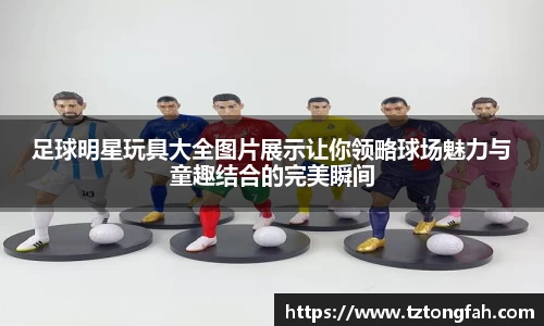 zoty中欧官方网站