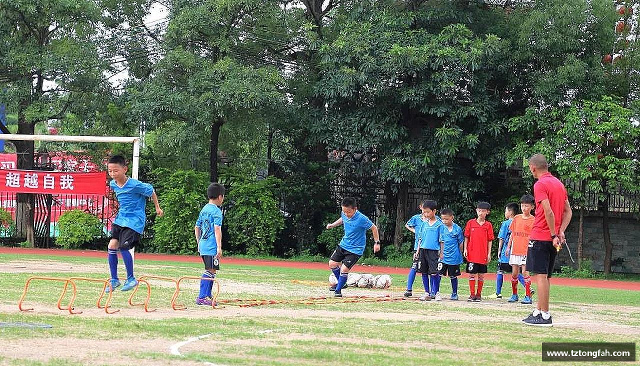 zoty中欧官方网站激情燃烧，精彩永恒